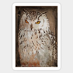 Vintage Style Owl Sticker